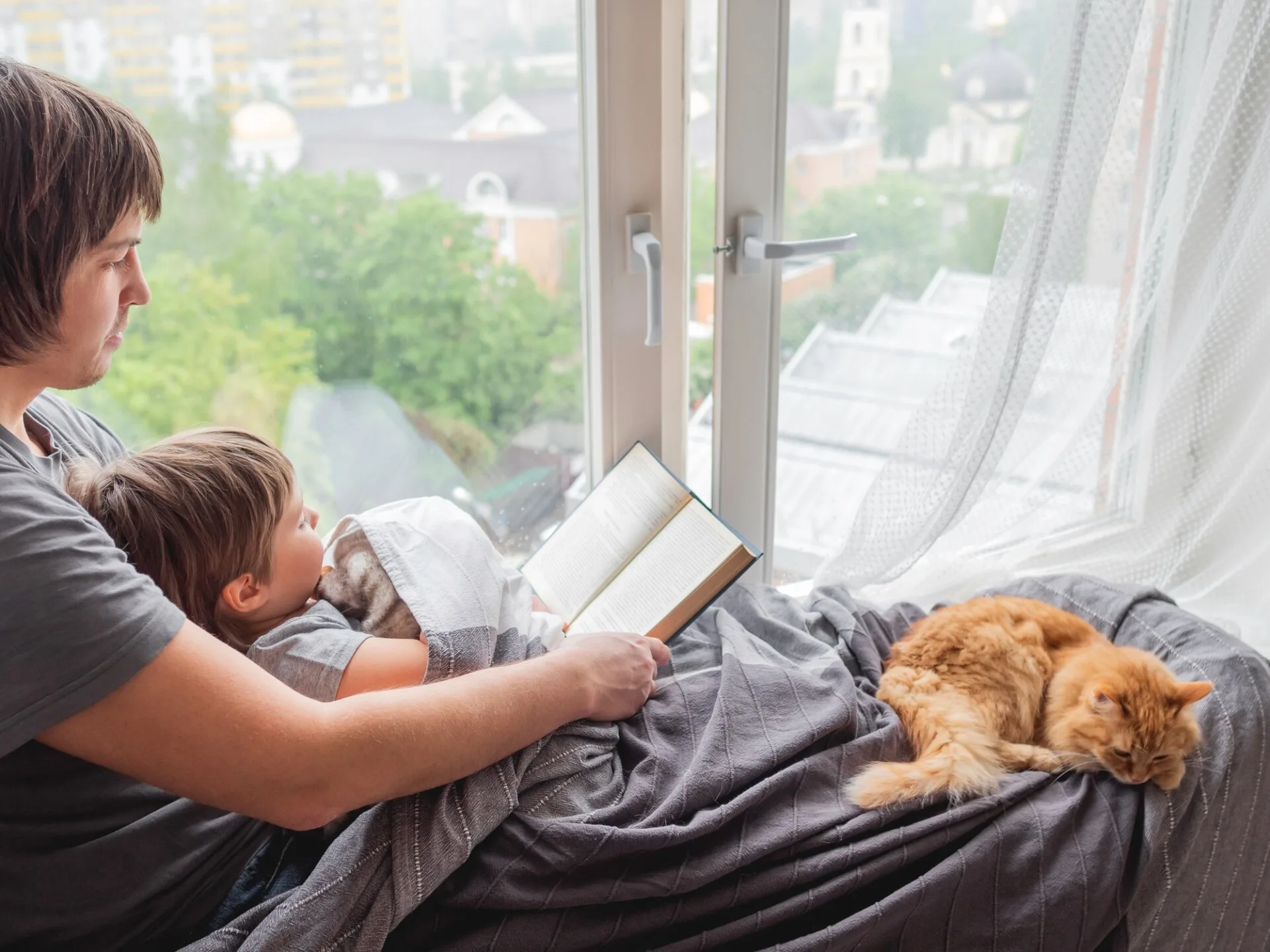 The Best Cat Breeds for Families with Kids